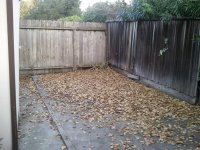 2010-12-11 15.44.39.jpg