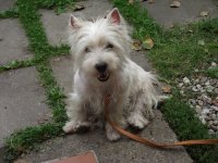 2010_08150001.JPG
