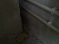 2010-12-14 09.41.08.jpg