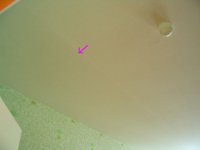 IMG_4241_1.JPG