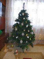 100_1798-1.jpg