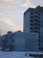 DSC08416.jpg