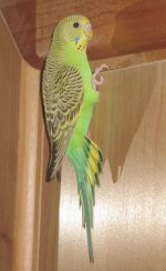 IMG_8628.JPG