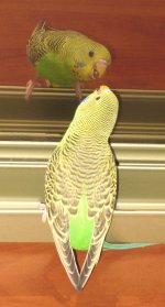 IMG_8667.JPG