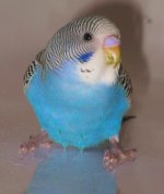 IMG_8562.JPG