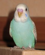 IMG_8585.JPG