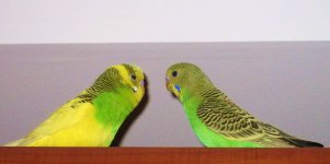 IMG_8616.JPG