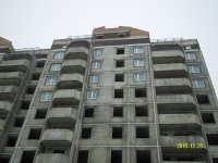 SDC17637.JPG