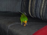 P1070112_новый размер.JPG
