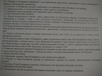 IMG_7382.jpg