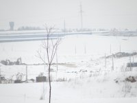 DSC02262-1.JPG