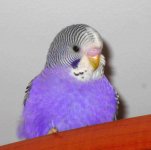 IMG_9075.jpg