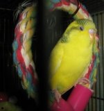 новый год 2011 115.jpg