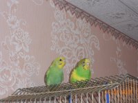 DSCN2880.jpg