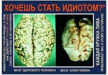 pivo.demotiv.jpg