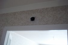 DSC07651a.jpg