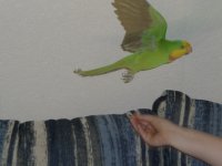 P1070274_новый размер.JPG