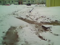 IMG0058A1.jpg