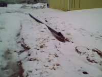 IMG0060A1.jpg