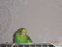 DSCN2956_.jpg