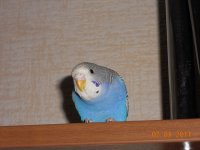 DSCN2897_2.jpg