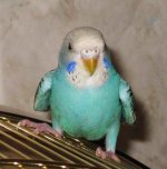 IMG_9617.jpg
