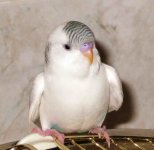IMG_9617.jpg