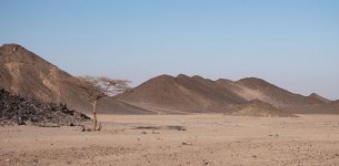 177dsc_2066.JPG