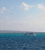 277dsc_2436.JPG