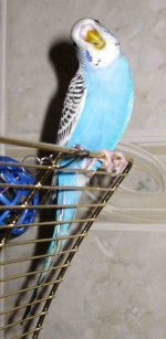 IMG_9647.jpg