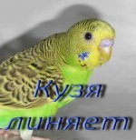 IMG_9487.jpg