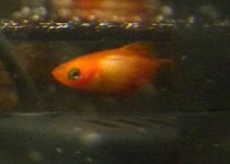 Изображение 007.jpg