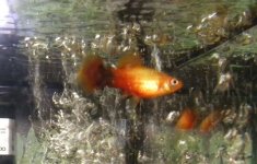 Изображение 003.jpg