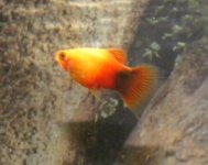 Изображение 015.jpg