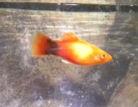 Изображение 010.jpg