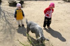 IMG_0280.jpg