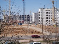 P1016550.jpg