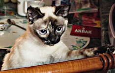 IMG_6137_.jpg