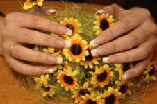 френч с удлин.jpg