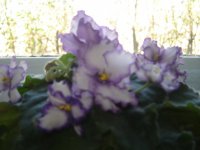 DSC04747.JPG