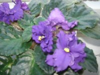 DSC04745.JPG