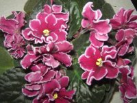 DSC04743.JPG