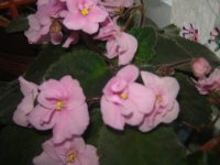 DSC04744.JPG