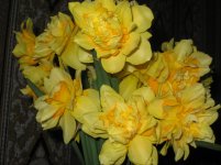 Изображение 138.jpg