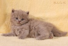 IMG_6116small1.jpg
