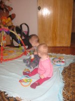 IMG_0262.jpg
