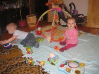 IMG_0264.jpg