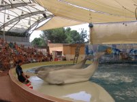 дельфинарий Троя.jpg