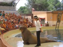 еще дельфинарий.jpg