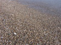 еще галька.jpg